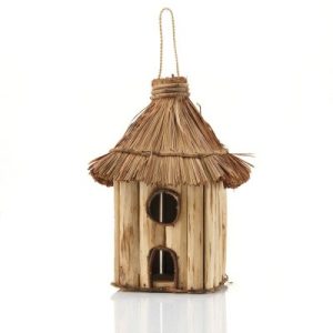 Birdhouses & Feeders |   Tall Tiki Birdhouse Birdhouses & Feeders Birdhouses & Feeders