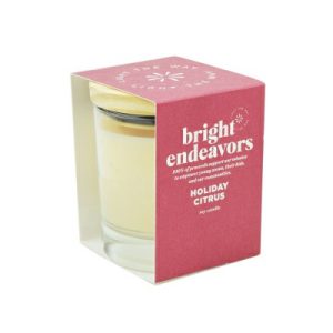 Lanterns & Candles |   Holiday Citrus Candles Home Lanterns & Candles