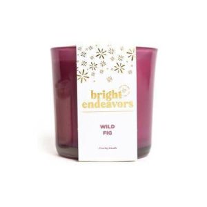 Wellness |   Wild Fig 2-Wick Candle Fashion Lanterns & Candles